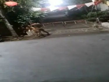 Bersetubuh Gaya Doggy di Area Komplek Sepi poster